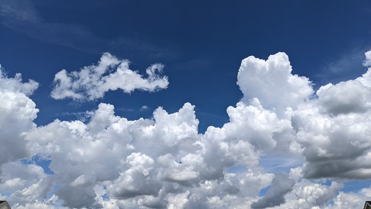 青空にもくもくと浮かぶ白い積雲