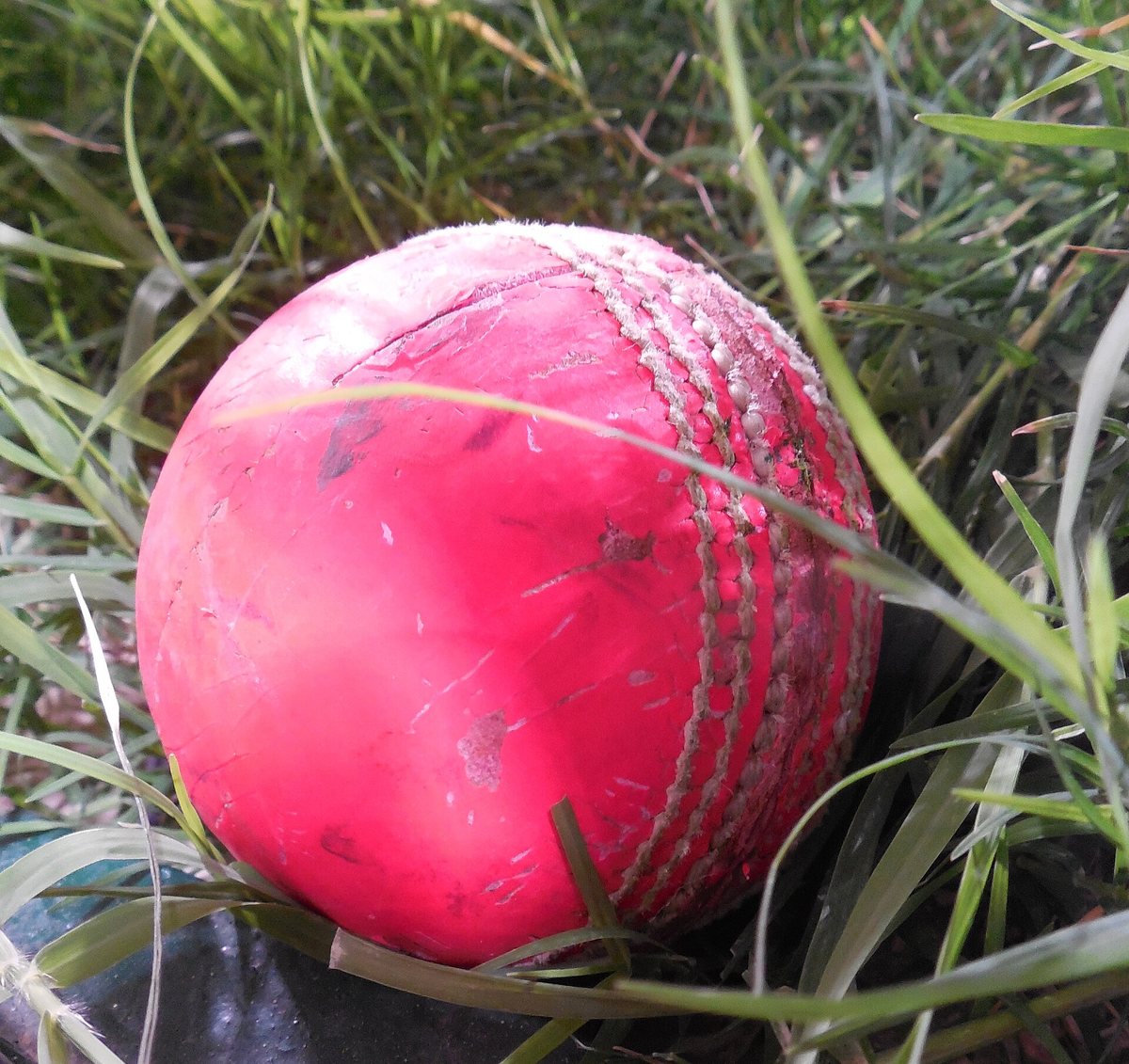 Una pelota de críquet rosa muy usada sobre el césped