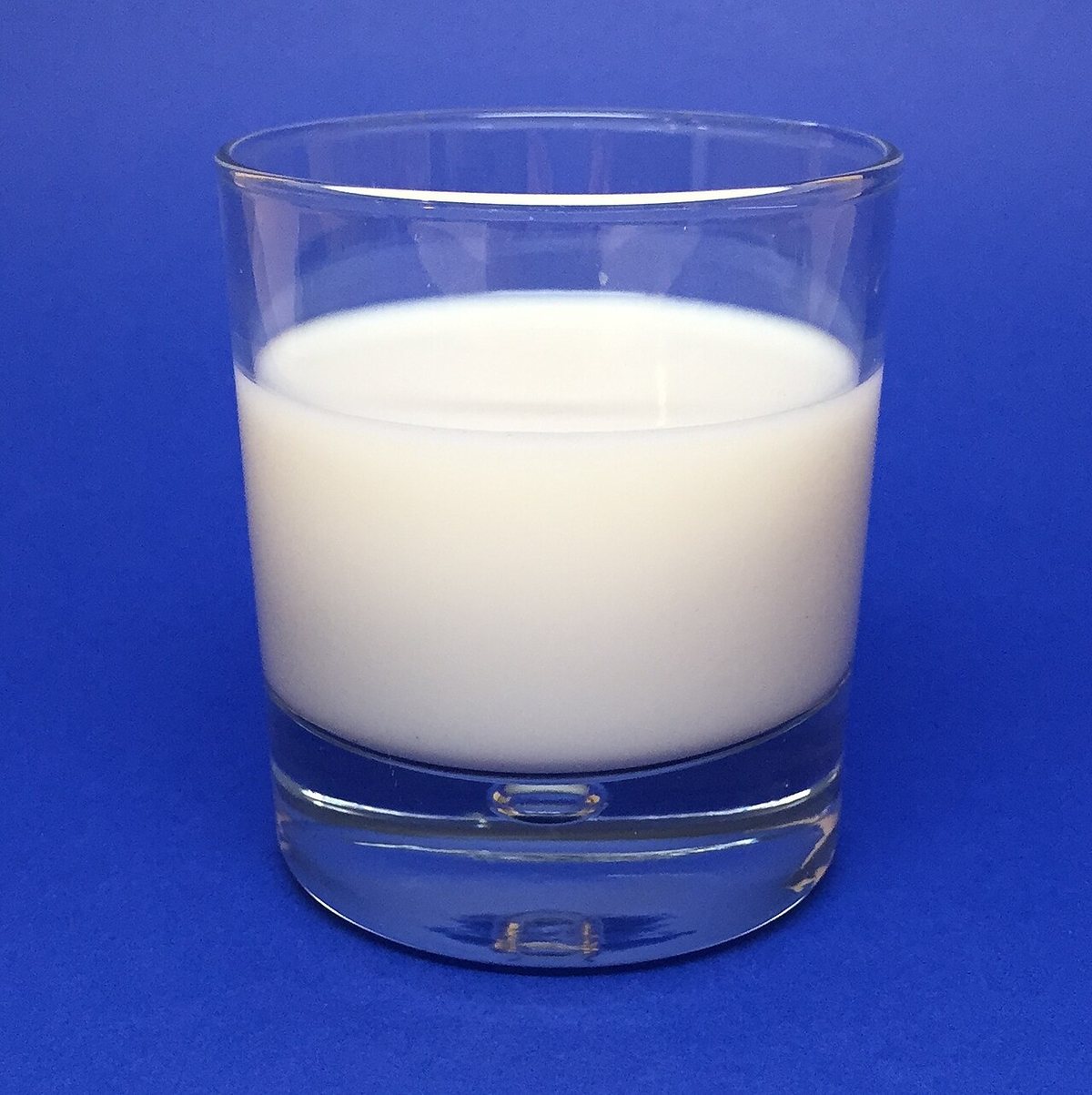 青い背景の前に置かれた、牛乳の入ったガラスのコップ