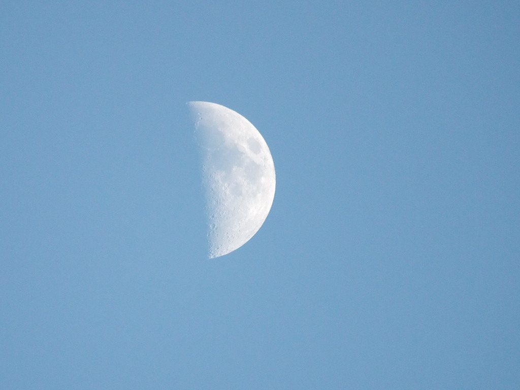 昼間の青空に浮かぶ、白い半月