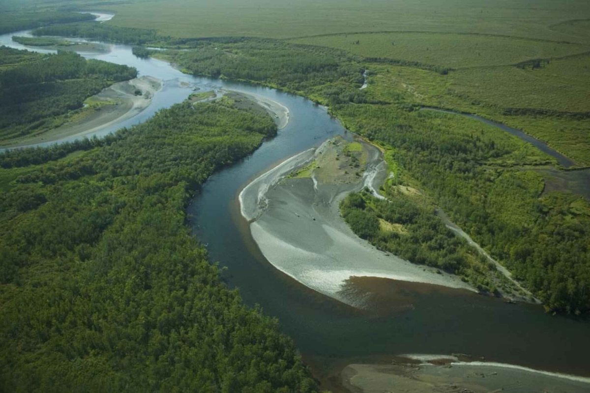 森の中を大きく曲がりながら流れる川と、カーブの内側に広がる白い砂地