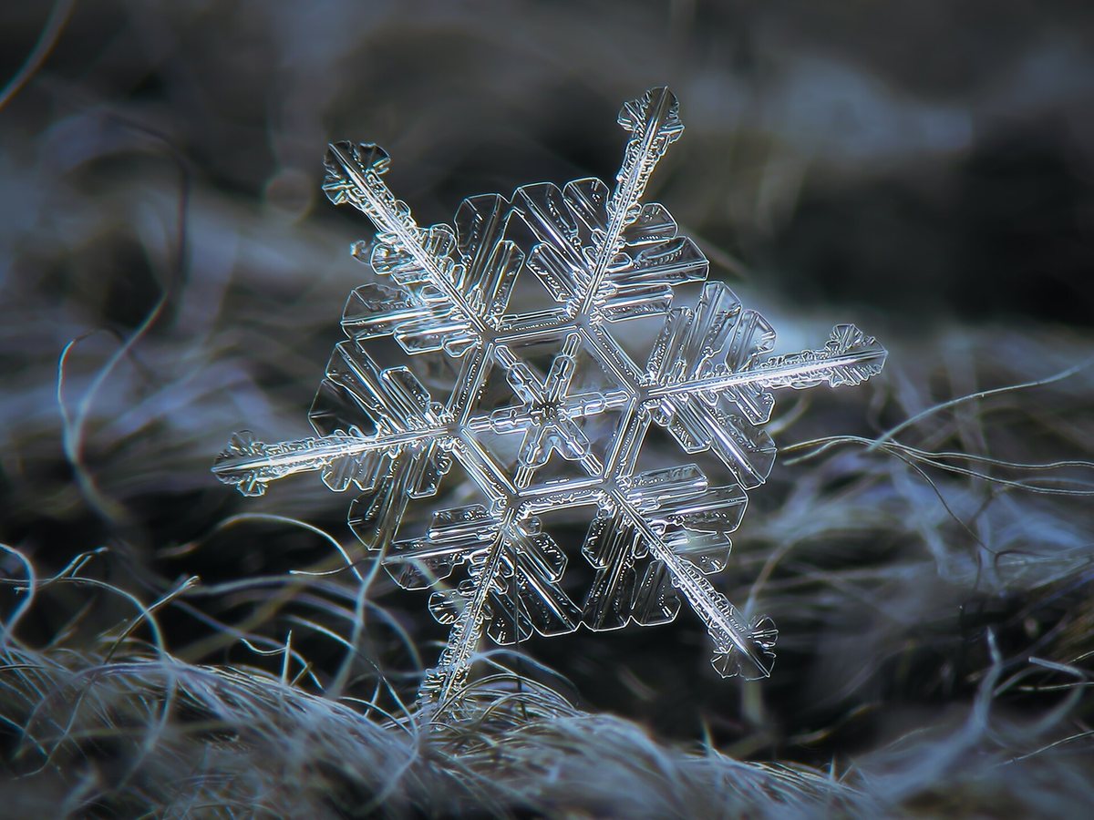 A close-up photo of a snowflake with 6 branches