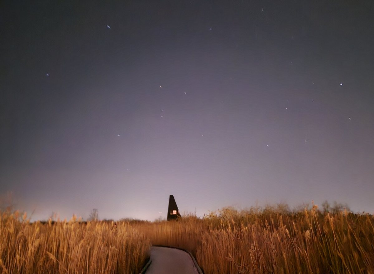 草原の上に広がる星空